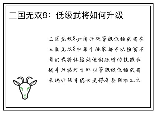 三国无双8：低级武将如何升级